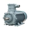 Wannan YBX4 High-Efficiency Flameproof Three-Phase Asynchronous Motor