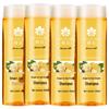 Bee Flower Ingwer Haarstärkendes Shampoo
