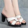 Summer Slipper Female Block Heel Platform Sandals Ladies Slides Women 2025 New High Heels Office Women's  Shoes Sandals