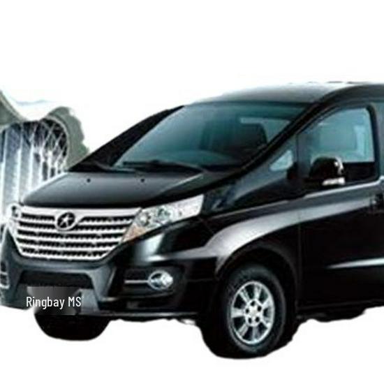 Outai Welcome Pedal & Rear Guard Sticker for JAC Refine M5 Sill Strip Modification