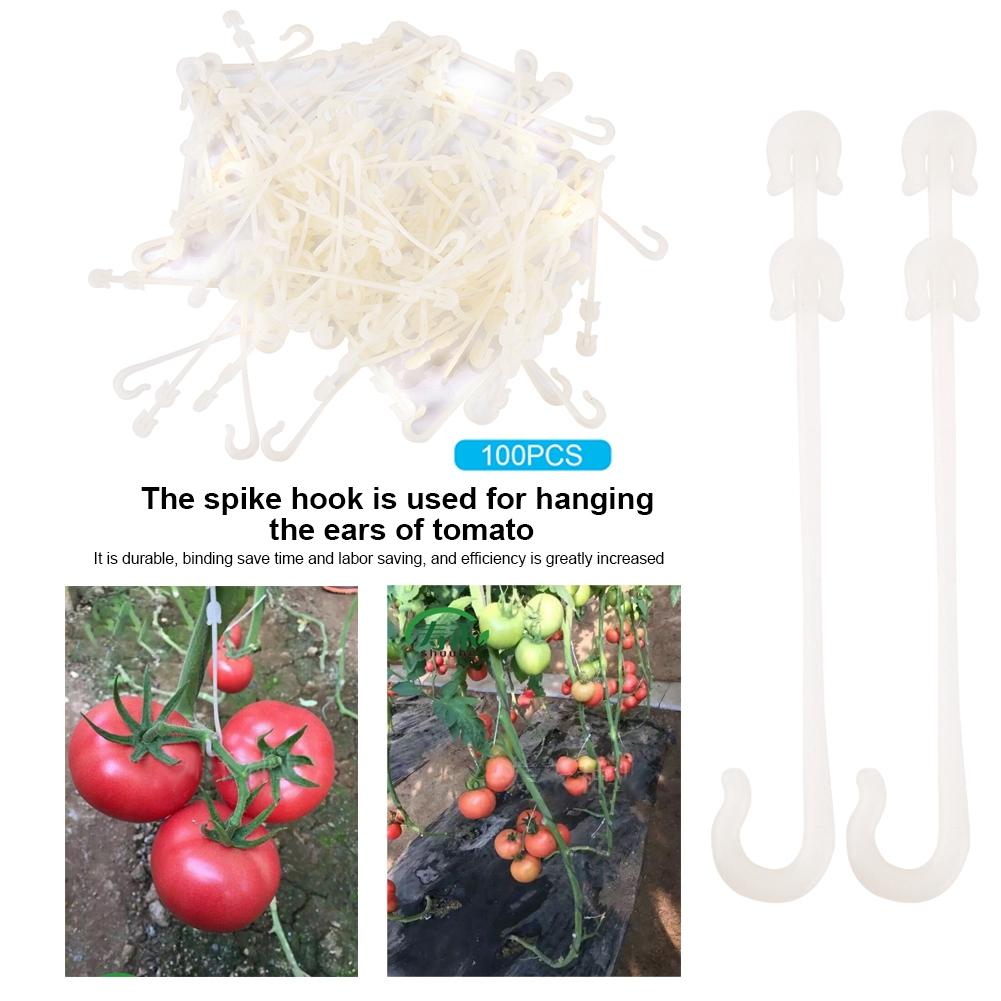 Garden Plants Support Clips Vine Pull Hook for Vegetables Cherry Tomato