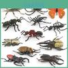 Insect Animal Model Pvc Collection For Educational Display And Collection Enthusiasts