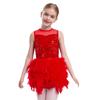 Robe de spectacle de danse pour filles Sans manches Fermeture éclair invisible au dos Patchwork en maille transparente Sequins brillants Plume Velours Robe