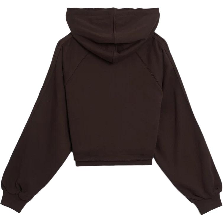 Adidas Originals Sweatshirts Women's Brown Hooded Non Detachable Moderate Straight Fit KT1922