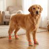 4PCS Breathable Puppy Foot Covers Reflective Pet Paw Protector Dog Mesh Shoes  Paw Protection