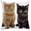 Față de pernă drăguță pentru animale de companie, pisică, dormit, bulă neagră, cadou pentru copii, husă de pernă, canapea, living, decor pentru casă, personalizat,(15)