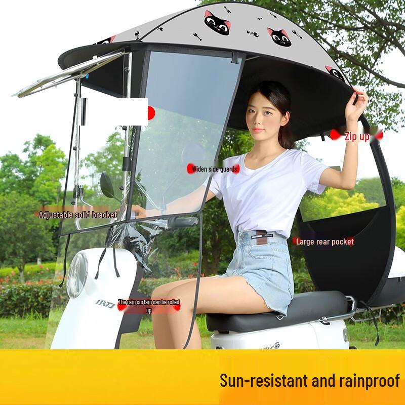 Electric Vehicle Rain and Sun Canopy