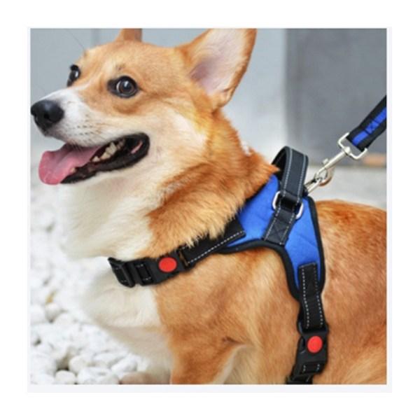 Purple Pet Puppy Large Dog Medium Dog L-Type Harness + Leash Set L, Blue