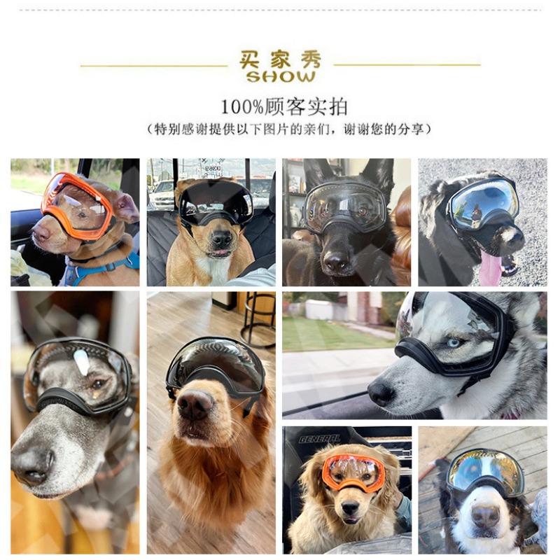 Pet glasses, windproof and sandproof, UV-proof sunglasses, medium and large dog goggles