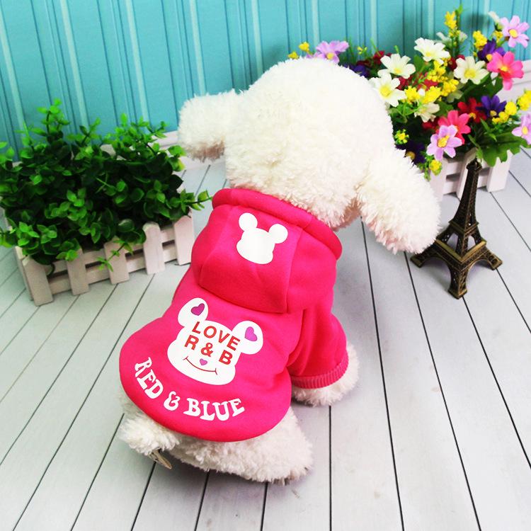 Sporty Cartoon Hooded Dog Sweatshirt - Two-Legged Pet Wear for Autumn/Winter S