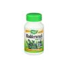 Nature's Way Bladder Powder 100 Capsules 1 Pcs