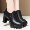 Women's Chunky Heel Platform Loafers - 2024 Spring/Autumn, Round Toe, Leather, Slip-On, Waterproof.