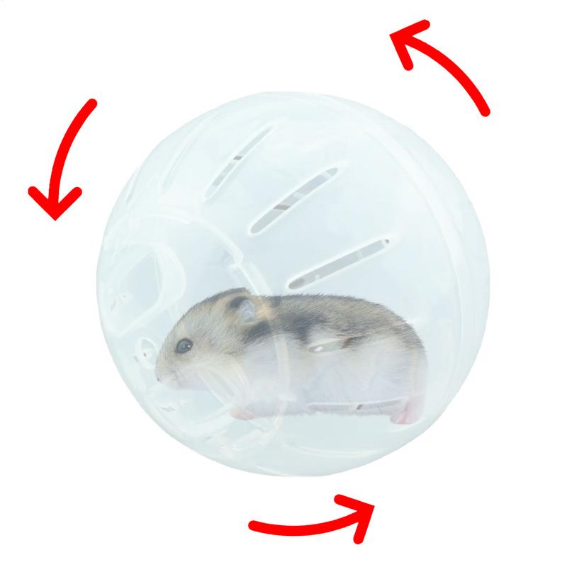 Hamster Übungsball Transparent Hamster Laufball Rad Spielzeug Für Grounder Ratte Kleintiere Haustierbedarf 10cm