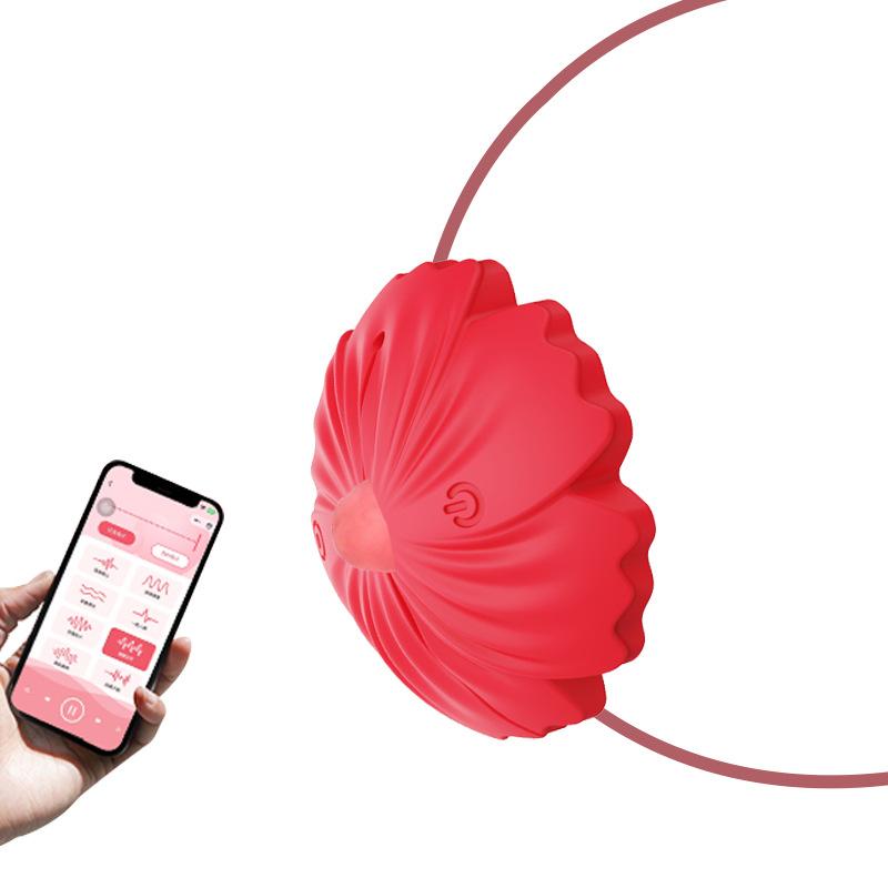 Nipple Vibrator Toy Nipple Clamps BDSM 9 Vibration Modes, Nipple G-Spot Stimulation, Adult Sex Toy Suitable for Women and Couples