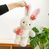 Plush Mushroom Rabbit Toy Embroidered Animal Cushion For Girls Gift Celebration
