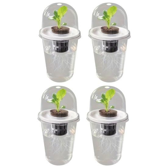 Pflanzenvermehrungsstation Samen Pflanzgefäß Transparenter Becher mit Sämlingen Pflanzenkeimung Starter Hydroponischer Korb Kuppelförmiger Deckel