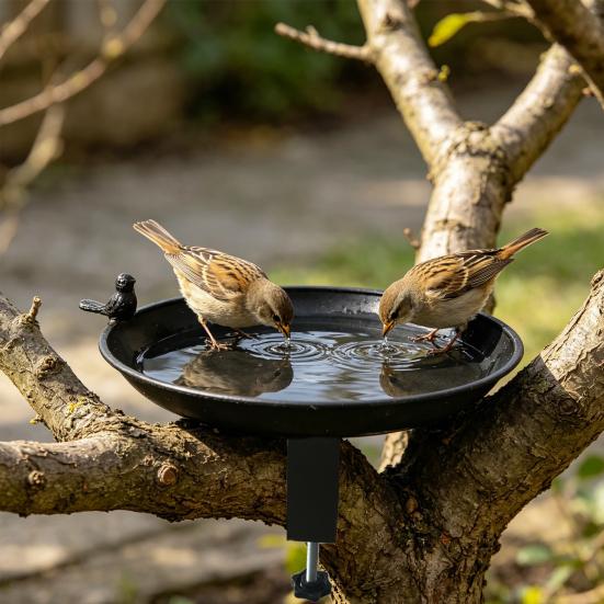 Metal Detachable Bird Bath And Feeder for Garden 2-in-1 Outdoor Waterer & Feeder Rust-Proof No-Drill Rail Mount Bird Watering Basin for Patio Balcony