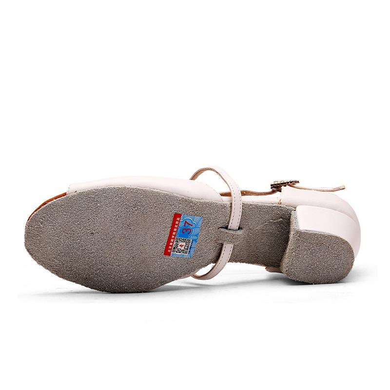 White Dance Shoes for Women Low Heel Ballroom Dance Shoes Salsa Latin Practice Dancing Shoes Girls Salsa Cuban Heels