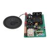 DIY Radio Kit Professional Easy Essembly AM FM Soldering Project Radio Module DIY Kit for DIY Radio 