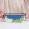 Microwaveable Divided Bento Lunch Box