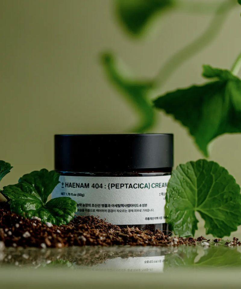 Haenam 404 Peptacica Dawn Cream 50g