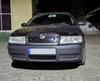 Χειμερινή σχάρα (ανώτερος) Ματ για Skoda Octavia I Tour A4 1996-2010