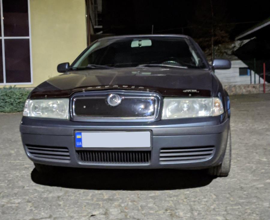 Χειμερινή σχάρα (ανώτερος) Ματ για Skoda Octavia I Tour A4 1996-2010