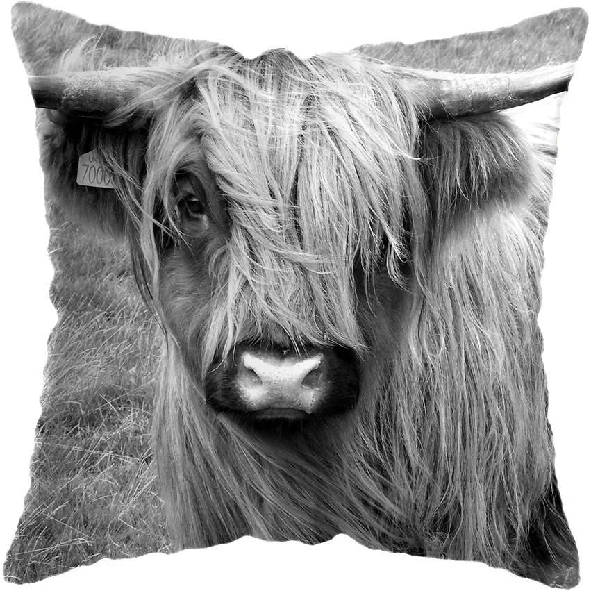 45x45cm Schottische Hochlandkatze Kuh Yak Tierdruck Kissenbezug Für Heimdekor Kissenbezug Sofadekoration Kissenbezug