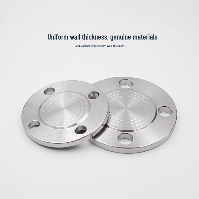 S31608 Stainless Steel Blind Flange PN16 DN80 RF