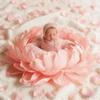 Blumen Decke Baby Posing Hintergrund Requisiten Baby Fotografie Requisiten Säugling Gedenk Wachstum Studio Foto Shooting Zubehör