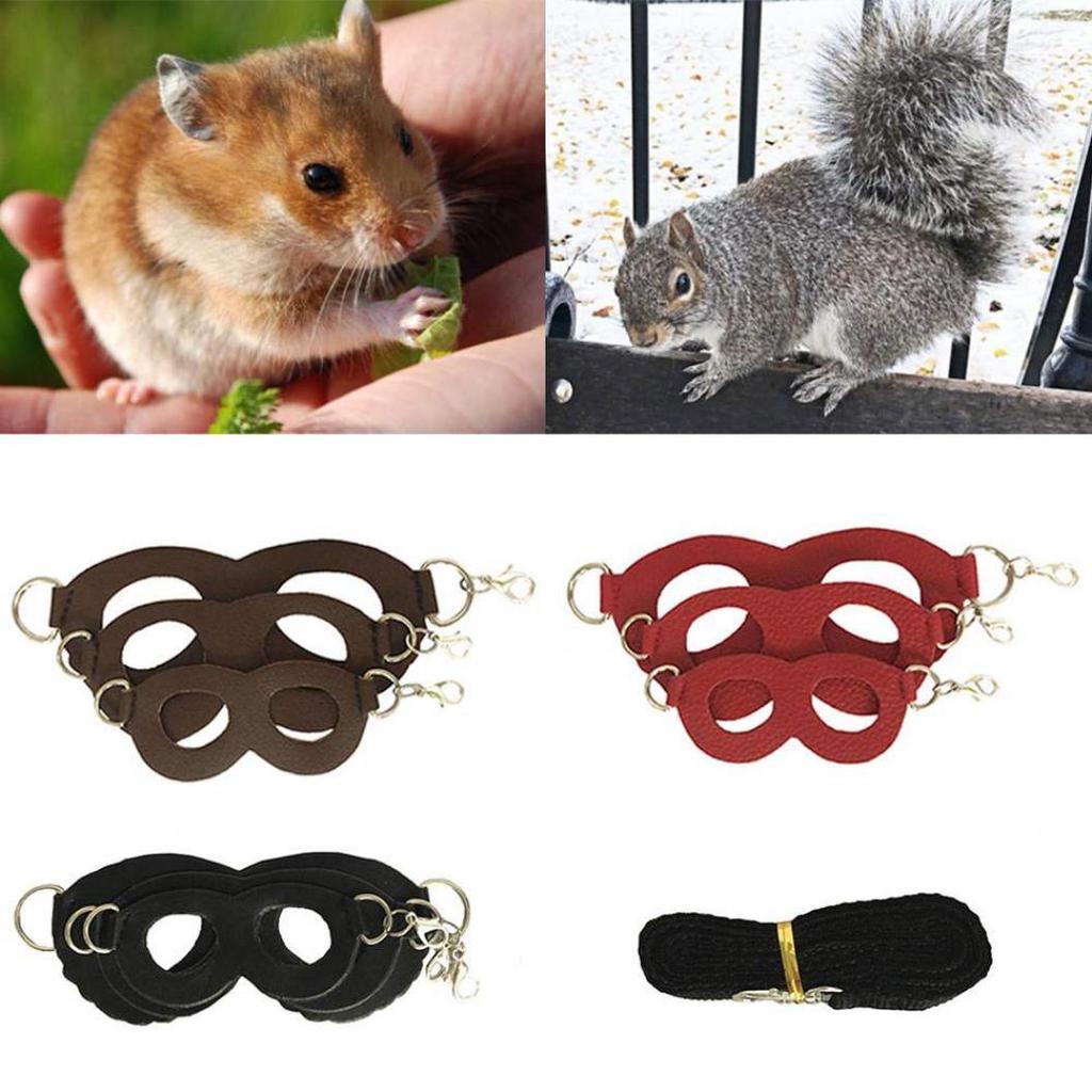 Buy 4Pcs Plastic Portable Pet Rat Rabbit Harness Adjustable Anti-lost ...