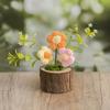 Handmade Crochet Potted Flower Artificial Knitted Flower Bouquet Forever Flower Gifts for Mother's