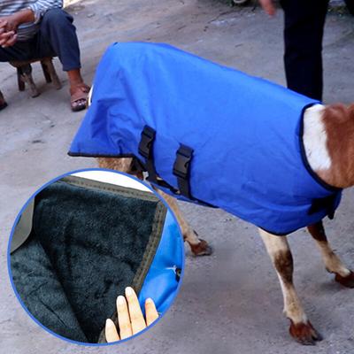 Bekleidung & Schuhe – Mäntel & Jacken für Hunde