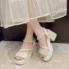 Fashion 2025 New Summer Casual Waterproof Women's Sandals Fashionable Increased Heel Platform Wedges Stylish Roman Loafers for Women