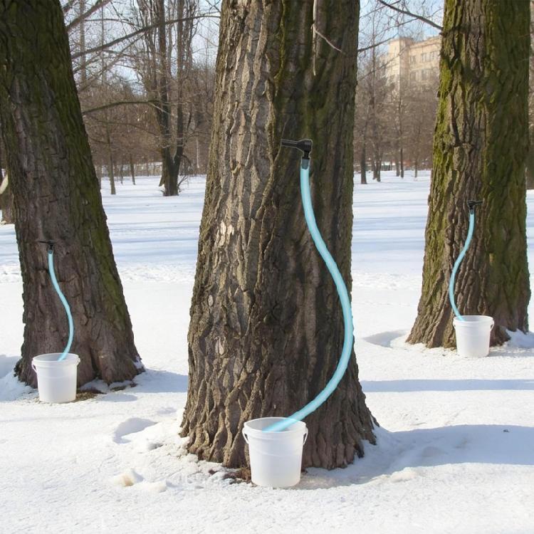 12pcs Durable Plastic Tree Tap With 39ft Sap Hose Bulk Fluid Collection Equipment For Easy Springtimes Syrup Gathering