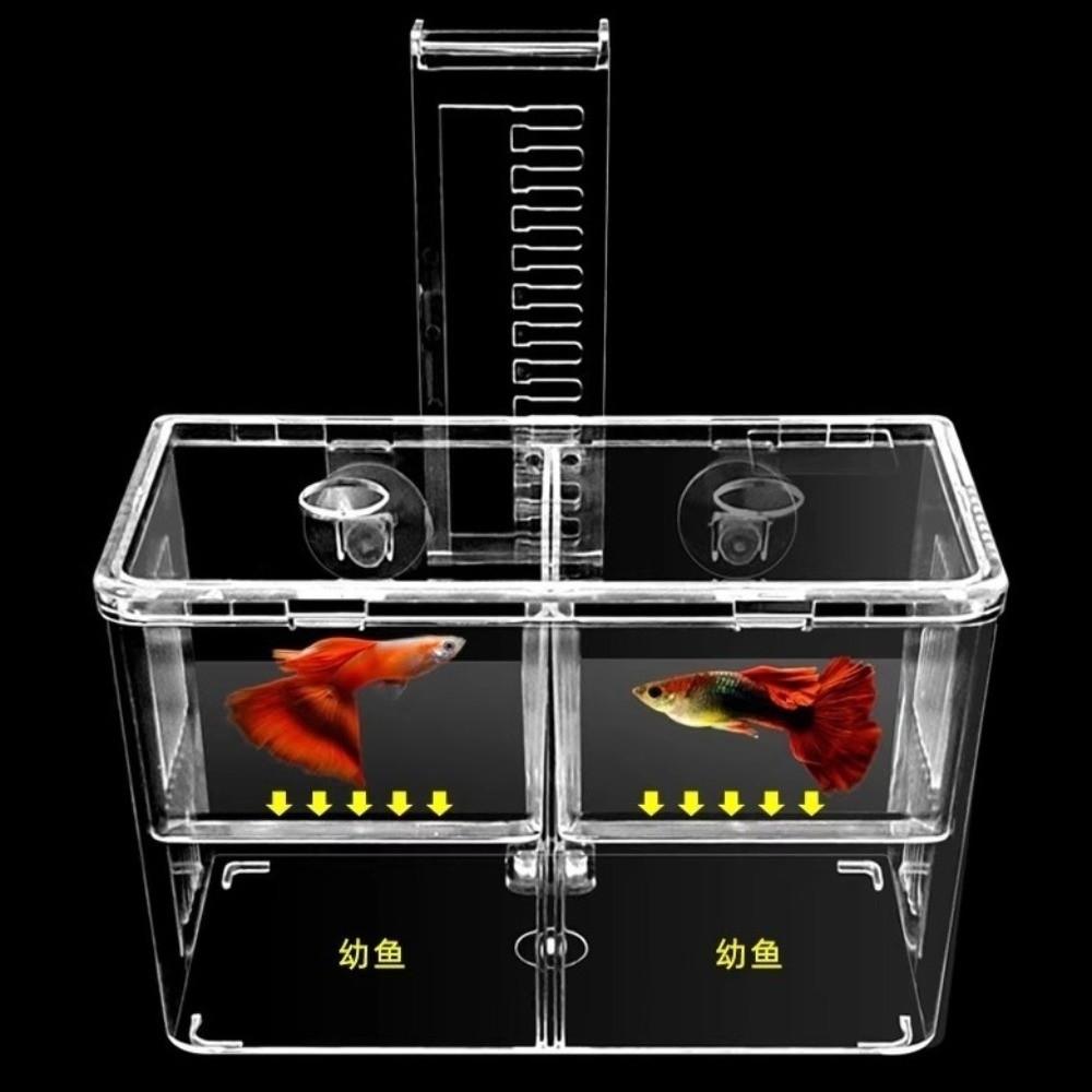 Highly Transparent Fish Breeding Box Double Layer Acrylic Aquarium Isolation Box Suspension Peacock Fish Breeding Box Feeding
