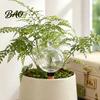 Reusable Watering Bulb Self Bulb, 500ml Transparent Automatic Plant Irrigation Ball, Low Maintenance Care Holiday with Lid for Indoor Houseplants