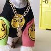 43Cm Gold Dollar Pet Accessories Personalized Fashion Pendant Pet Collar Dog Chain Necklace