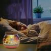 Unicorn Creative Set Night Lamp for Children Magical Terrarium Diy