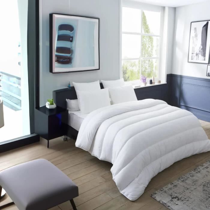 Couette - SOHYGGE - 220x240 cm - Tempérée - 100% Microfibre - 300 gr/m²