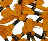 IBA Indianbeautifulart Stranded Cotton Thread Hand Cross Stitch Sewing Embroidery Floss Skeins-Fire