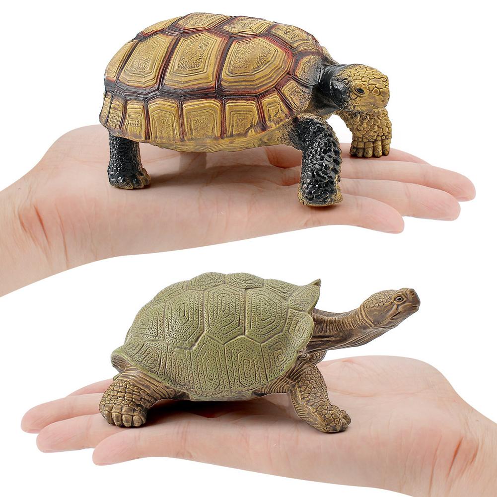Realistic Turtle Action Figure Lifelike Amphibian Reptile Model Ornaments For Children Gifts Home Decoration
