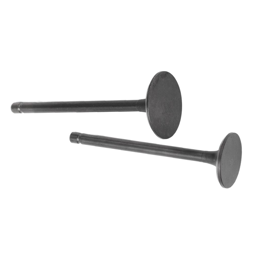 Exhaust Intake Valve Kit Black Exhaust Intake Valve Set Replacement for XG250 TRICKER 2004?2017