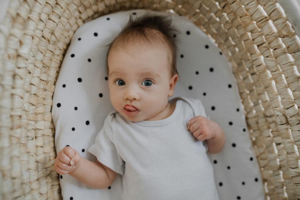 Carrycot Sheet 2-Pack Black Dots/Grey Dots