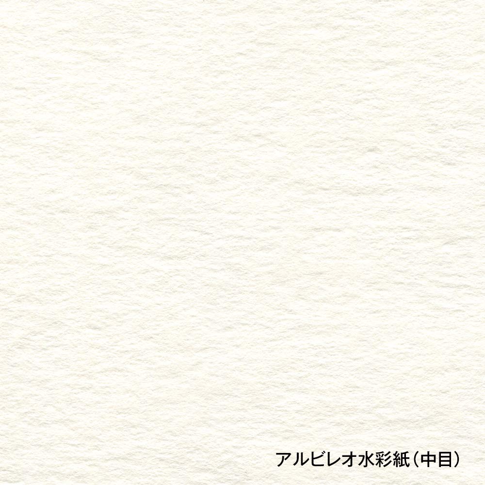 HOLBEIN Sketchbook by Application Watercolor Book Albireo Watercolor Paper Medium Grain 151g A4 Size 20 Sheets Binding 271201 YWC-A4