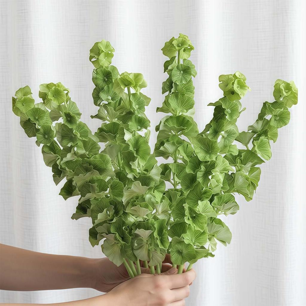 3PCS Simulated Shell Leaf Artificial Flower Bell Grass Flower Bells of Ireland Arrangement Home Office Arrangements Indoor Outdoor Decoration