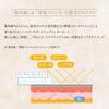 Plamine Sunscreen Makeup Base SPF50
