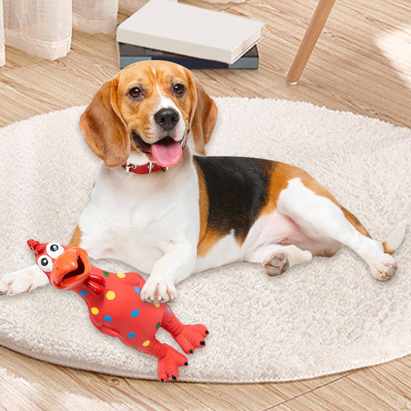 

Игрушка для жевания собак из латекса, курица, пляжные игры, семейная игра, новинка для детей и взрослых, укус на заднем дворе