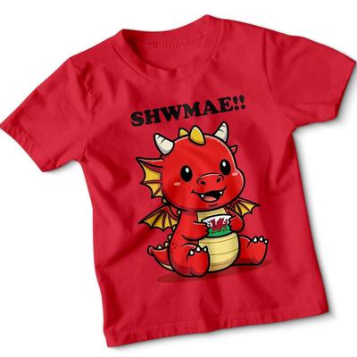 Shwmae Wales Dragon T-Shirt Welsh Culture Boys Girls Tee