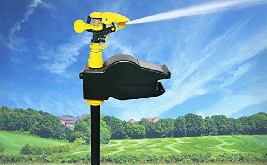 Beinhaltet Solar Schädling Krähe Tier automatisch Vogel kompatibel mit Reh Vogelschaden mit Infrarot und Bauernhof Fäkalientiere Panel, Steuerung, Ultraschall,